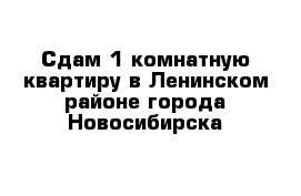 Сдам 1-комнатную квартиру в Ленинском районе города Новосибирска